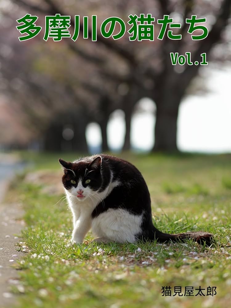 ねこであるページ Amazon.co.jp: 多摩川の猫たち Vol.1 (キャットレスキュー634